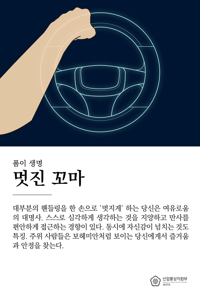 운전대 잡는 스타일로 보는 성격 | 인스티즈