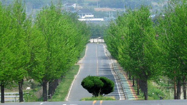 산림원 이미지