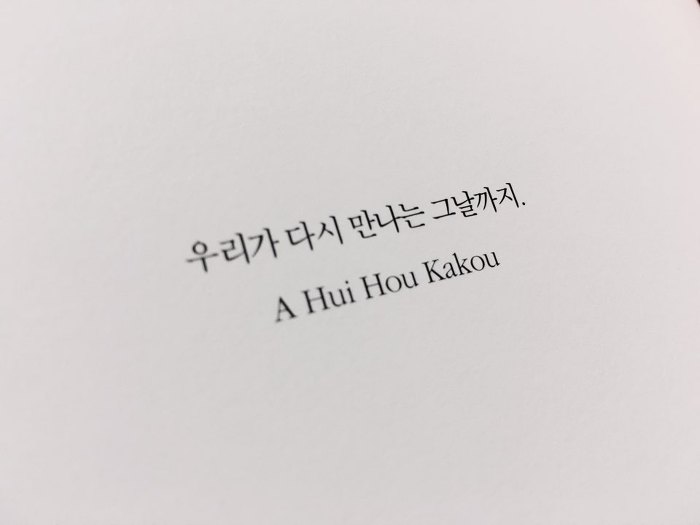 핑크아일랜드 이미지
