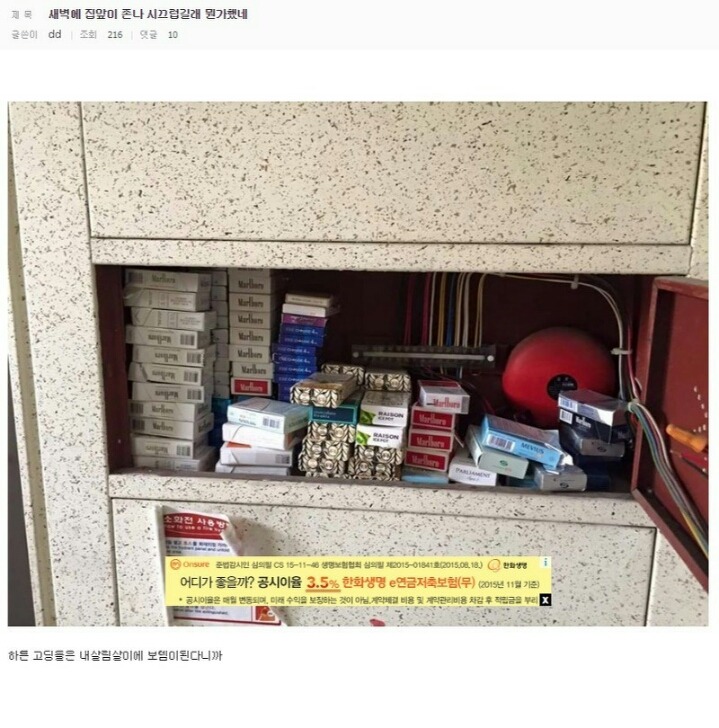 디씨인과 40인의 일찐들 | 인스티즈