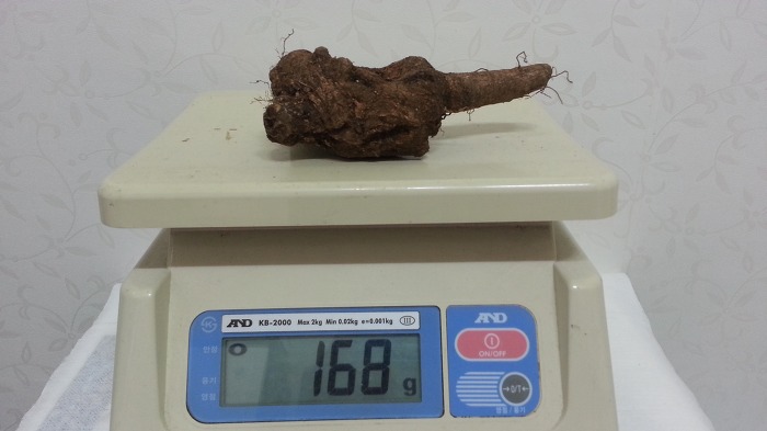 꿀벌과자연 이미지