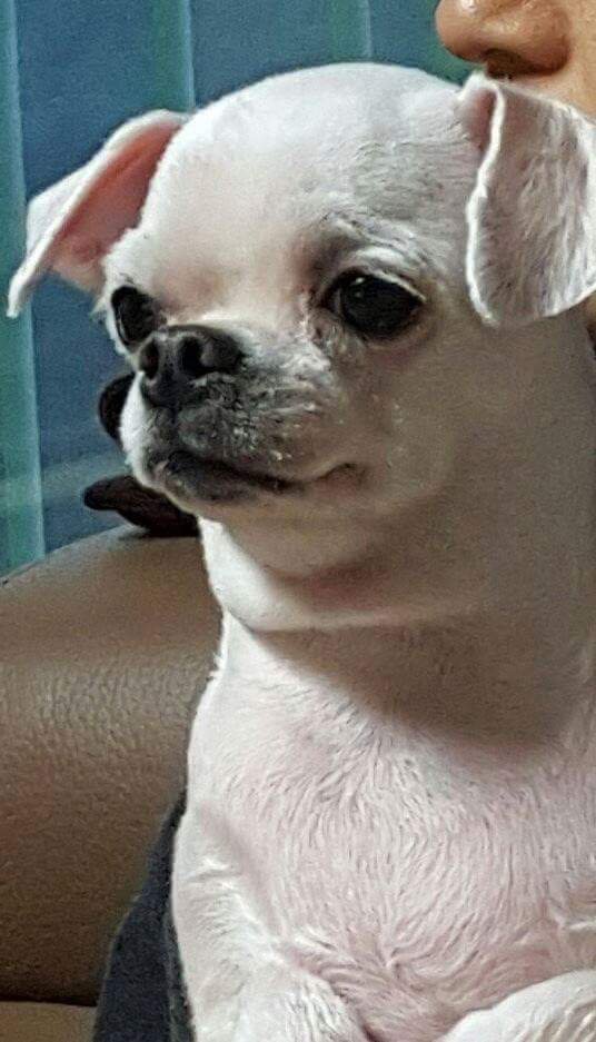 헐 이미지