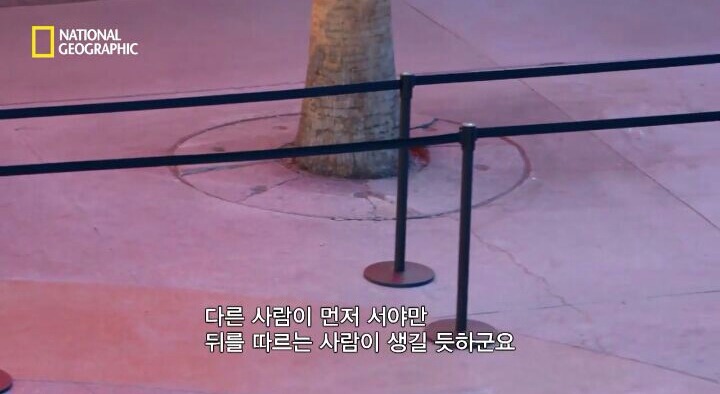 상당히 흥미로운 피리부는 사나이 실험(동조 실험) | 인스티즈
