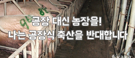 대신축산 이미지