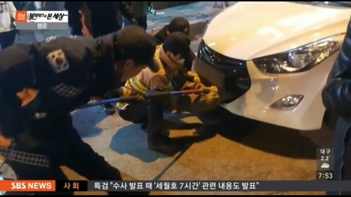 기적적인 강아지 로드킬 | 인스티즈