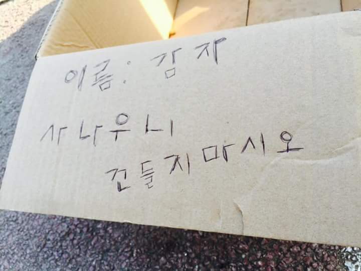 사나운개를 입마개도 안하고 진짜 어이없게 | 인스티즈