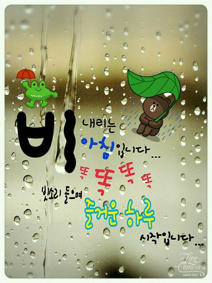 비가와 이미지