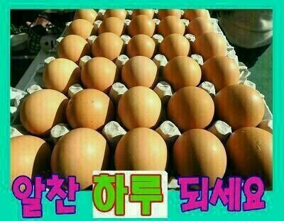 알찬하루 이미지