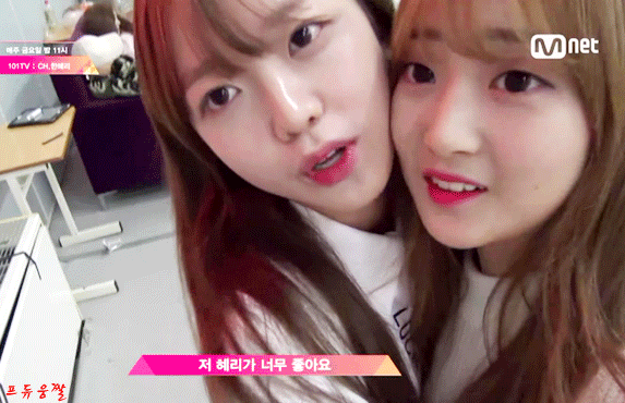 프로듀스101 소녀온탑 멤버 구성.. 남덕몰이 가능 vs 불가능.gif | 인스티즈