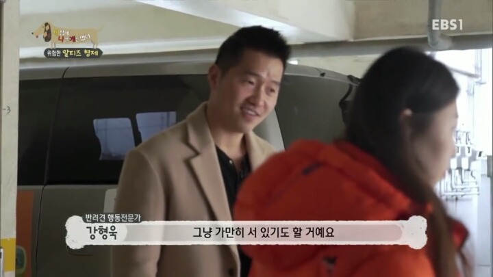 공격적인 반려견이 되는 이유 2부.jp | 인스티즈
