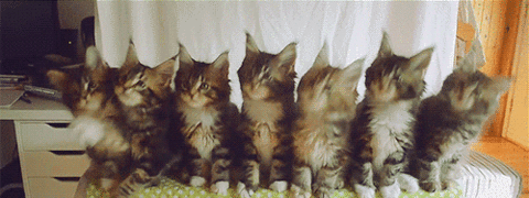 실시간 대한민국 근황 | 인스티즈