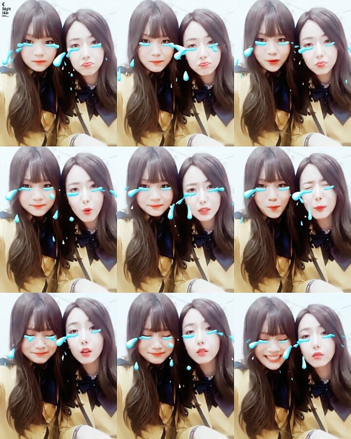 520 이미지