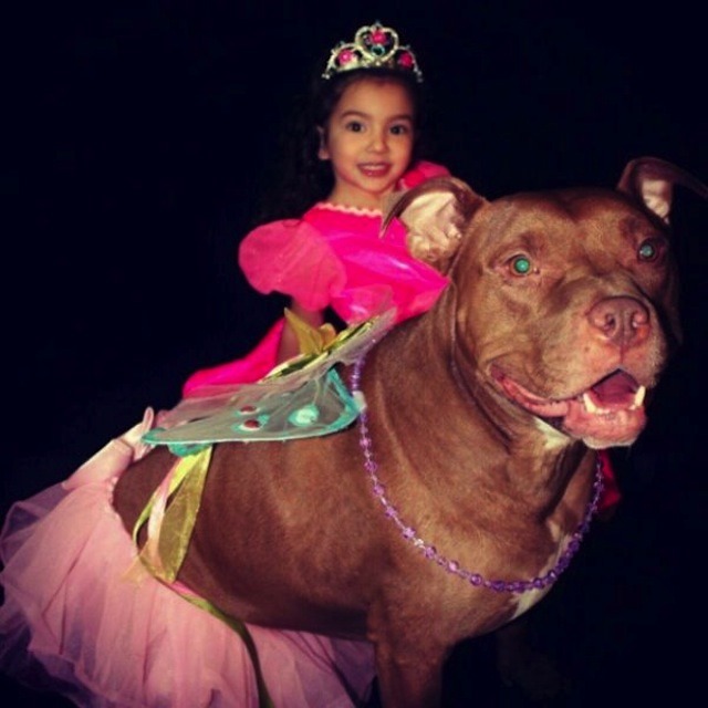 애들과 멍멍이 | 인스티즈