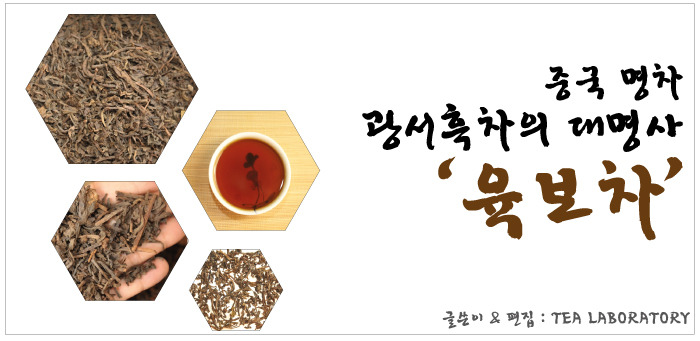 티랩 이미지
