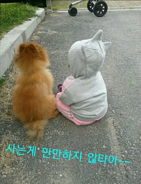 오잉 이미지
