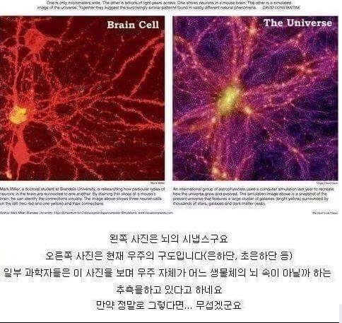과학자들의 우주에 대한 추측.jpg | 인스티즈