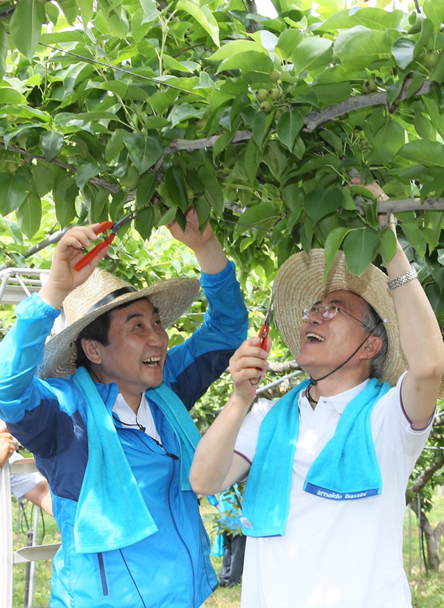 🌿 농업왕 문재인 🌿 | 인스티즈