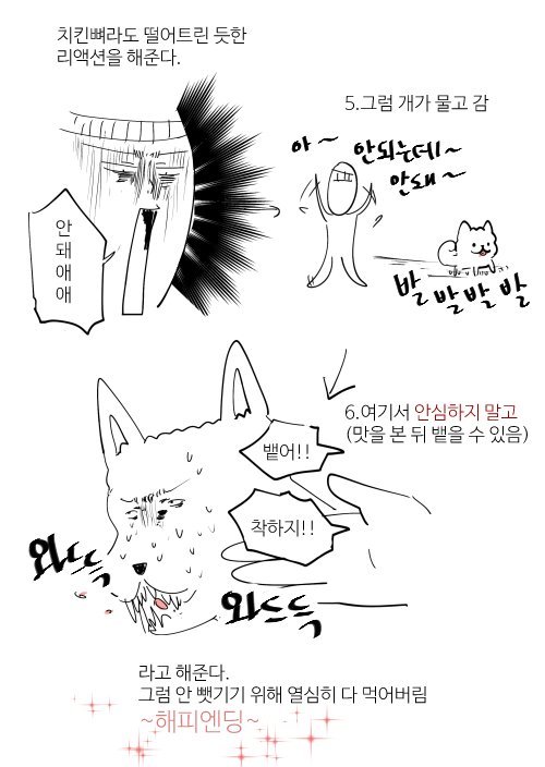 멍멍이 약먹이는 방법 . jpg | 인스티즈
