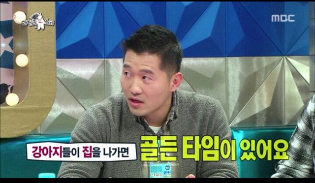 강아지를 잃어버렸을 때 골든타임은 3시간 | 인스티즈