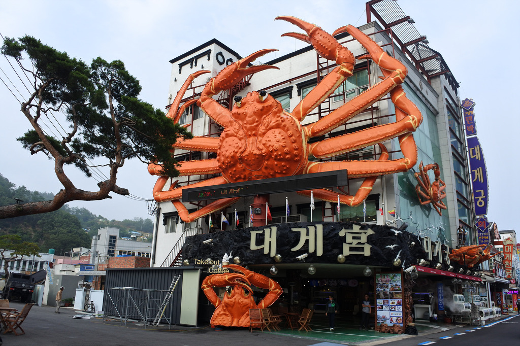 동해축산 이미지