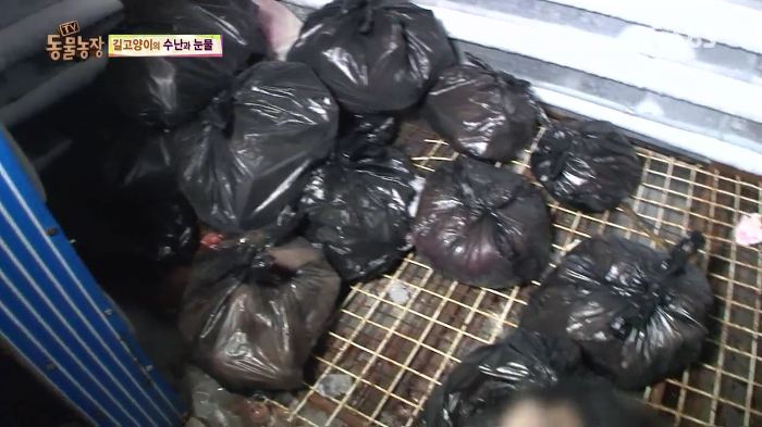 눈앞에서 제 아이가 맞아죽었습니다. 도와주세요 | 인스티즈