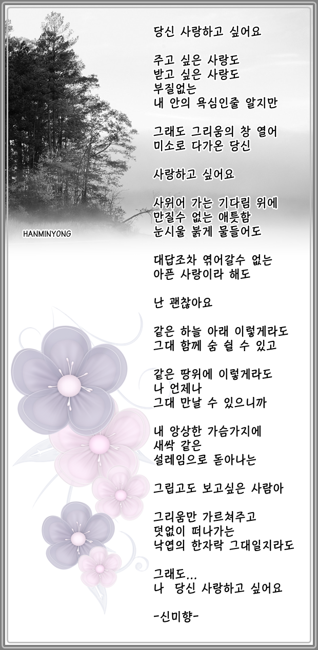 신미향 이미지