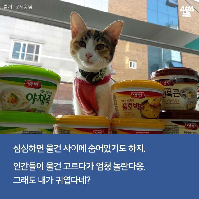 편순이 처음 보냥? | 인스티즈