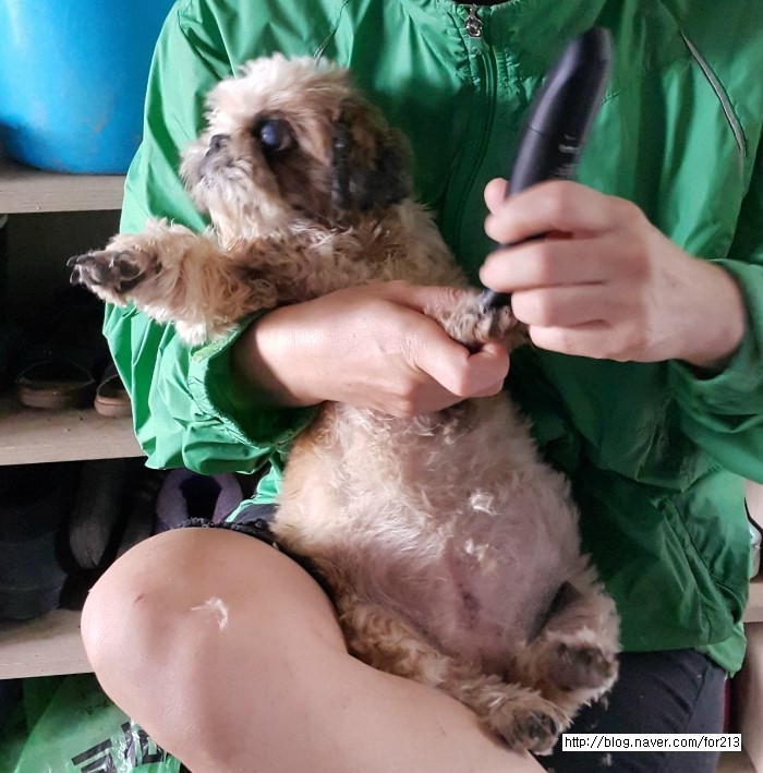 수호천사 이미지