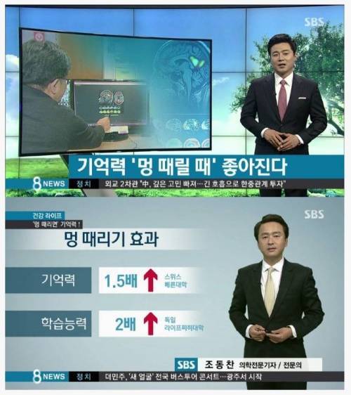 멍을 때려야하는 이유 | 인스티즈