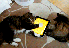 현대묘에게 아이패드는 기본 아니냥? | 인스티즈