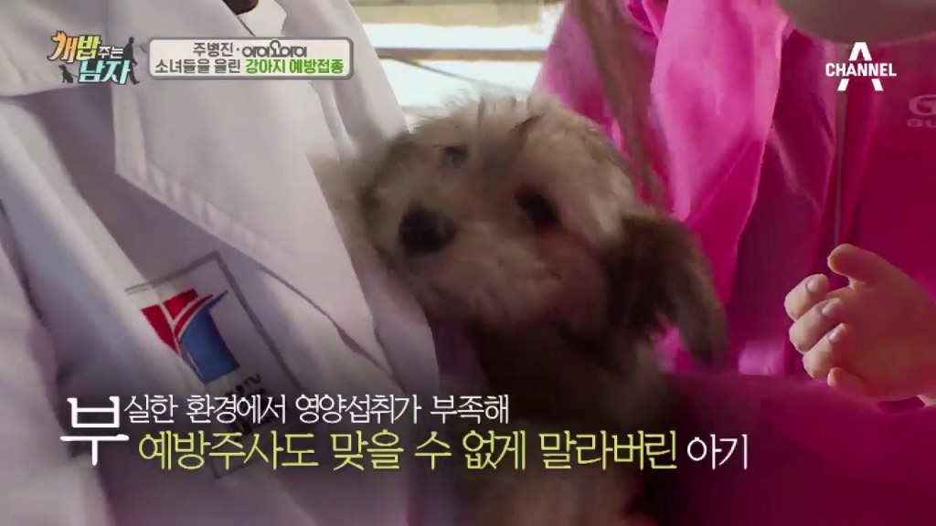 개밥 주는 소녀 I.O.I 김소혜 | 인스티즈