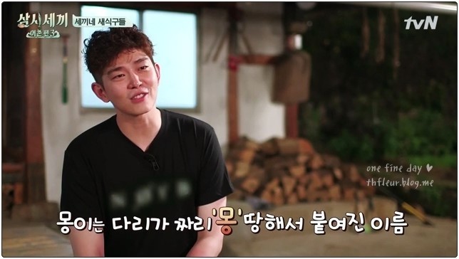 심쿵주의 삼시세끼 윤균상 반려묘 쿵이와몽이 심쿵주의 | 인스티즈