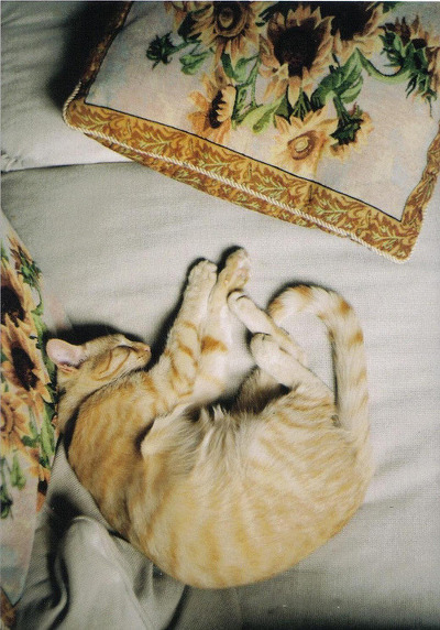 내 전생에 너를 얼마나 울렸기에 한평생 날 붙들고 잠 못자게 하는가 | 인스티즈