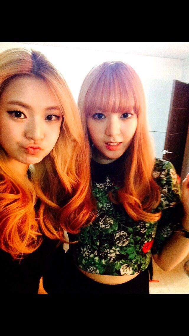 2343DD39549C0D852D709F