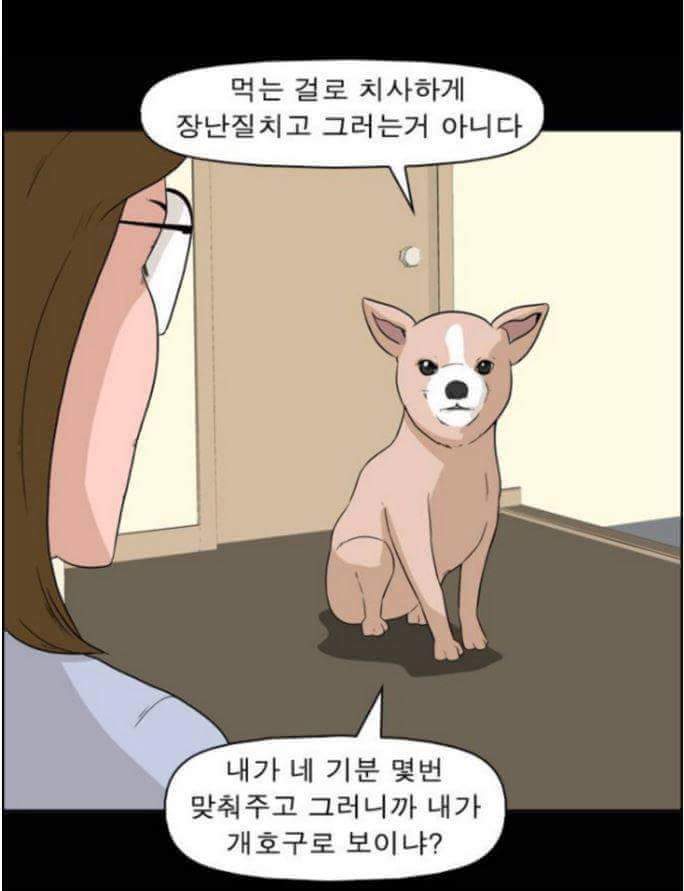 동물들이 말을 할 수 있다면 일어나는 일 | 인스티즈