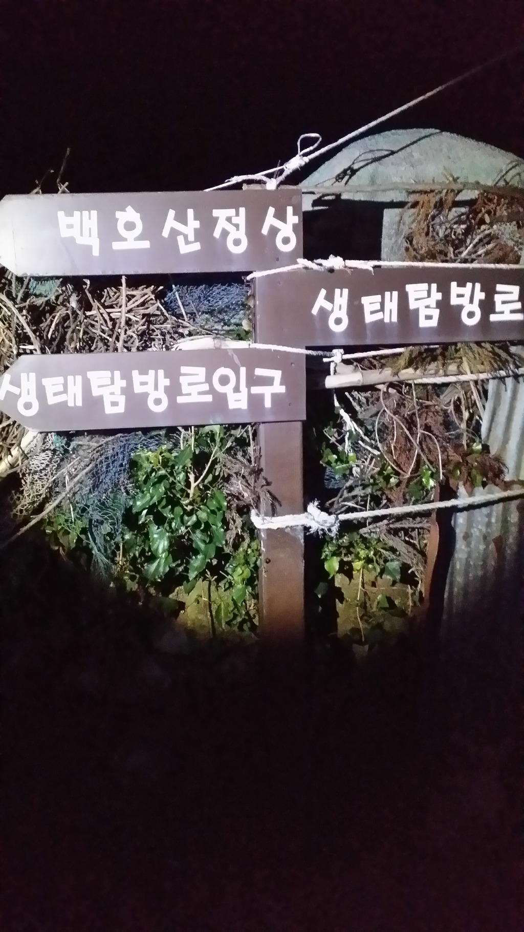 백야도 이미지
