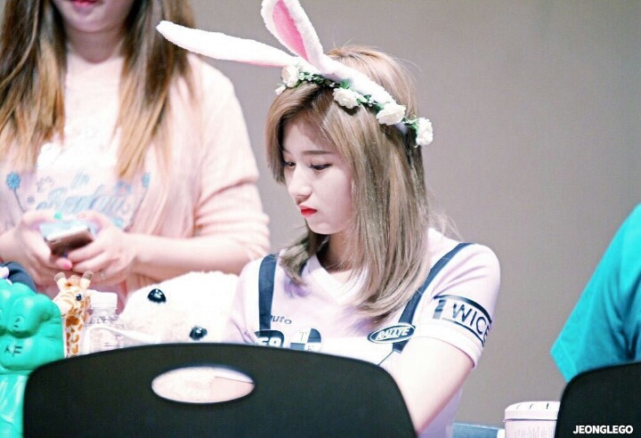 강아지상 사나.jpg | 인스티즈