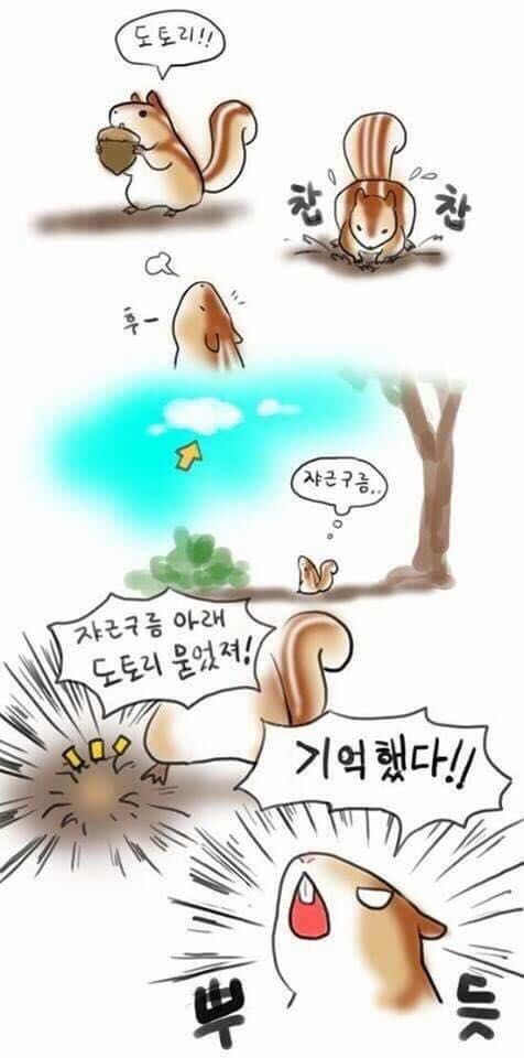 다람쥐가 도토리를 못찾는이유 | 인스티즈
