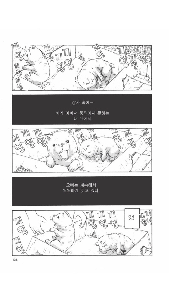 개를 주워오면 안되는 이유 | 인스티즈