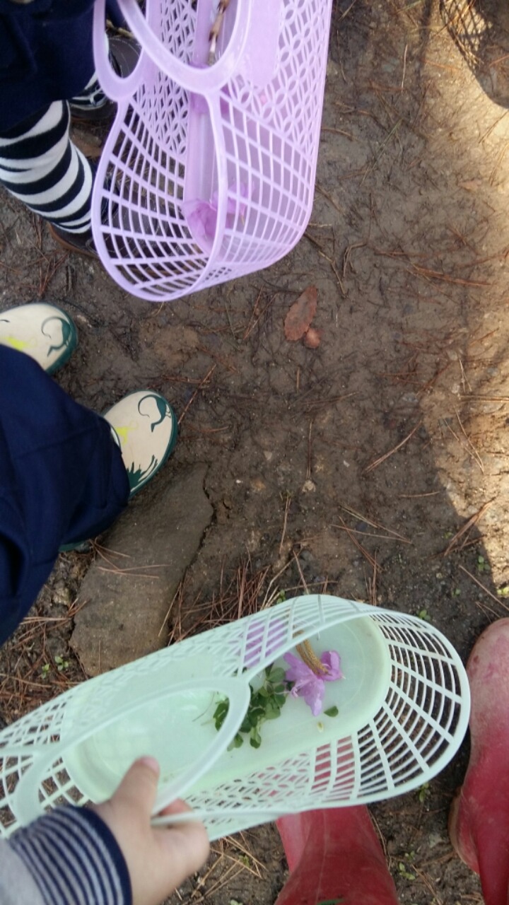 무실어린이집 이미지