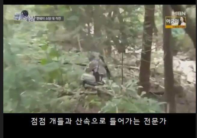 맷돼지 사냥꾼 레전드 ㅋㅋㅋㅋㅋㅋㅋㅋ | 인스티즈