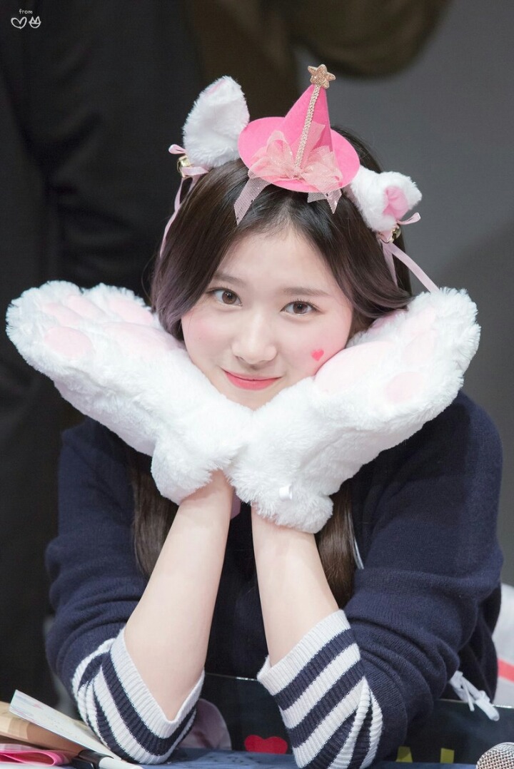 고양이 사나 | 인스티즈