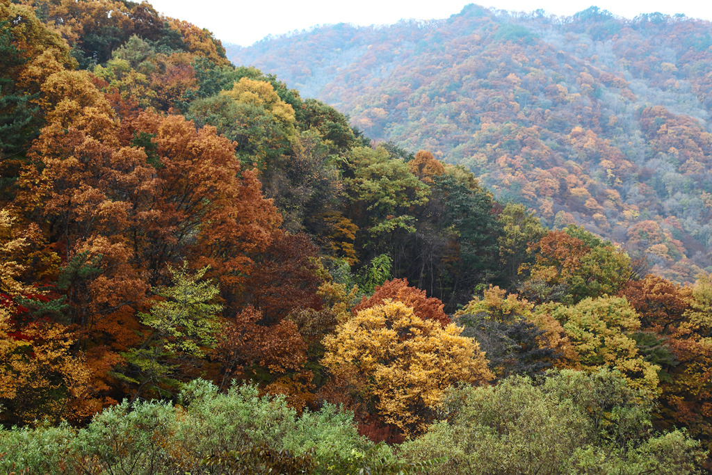 선운민박 이미지