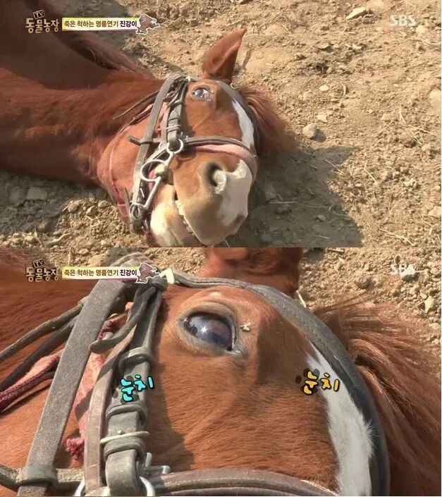 말도 안되는 말 | 인스티즈