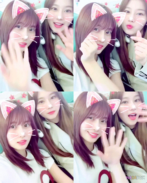 오늘자 트와이스 인생듀오 사나&모모 | 인스티즈