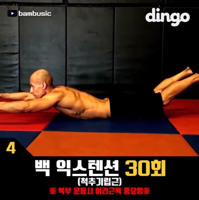 뱃살 빠르게 빼는 방법 | 인스티즈
