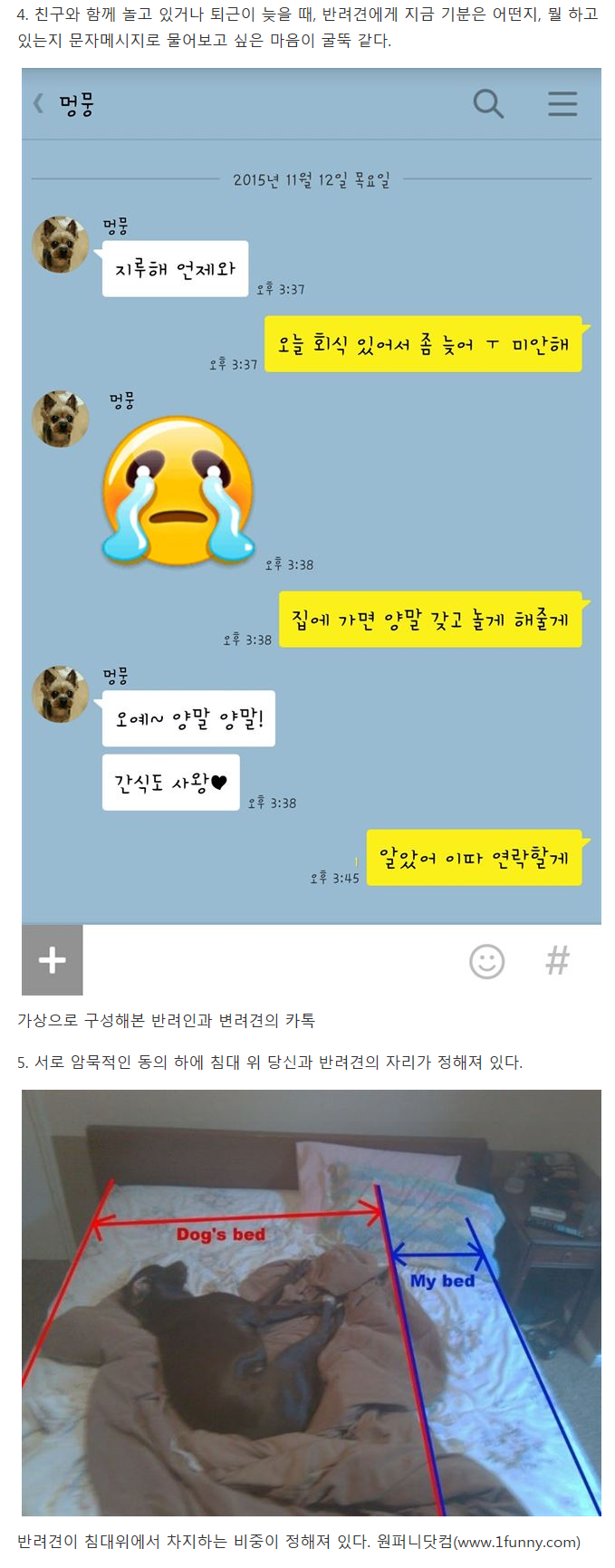 반려견을 키우는 싱글이라면 공감할 사실 11가지 | 인스티즈