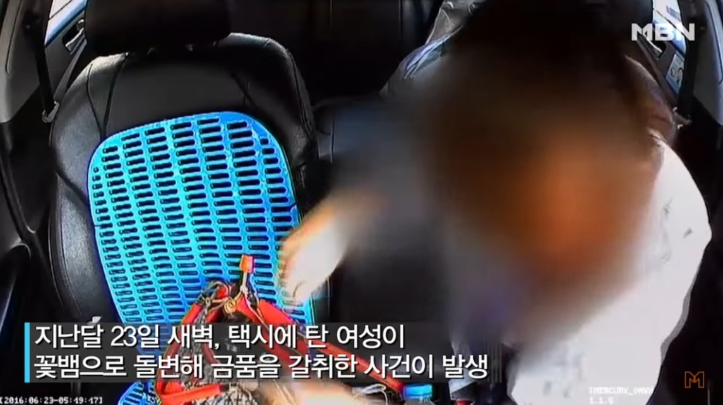 신종 택시 꽃뱀 + 내용 추가 | 인스티즈