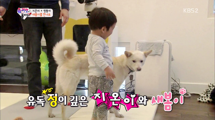 [슈퍼맨이돌아왔다] 서언이가 한없이 관대해지는 존재들ㅋㅋㅋ.JPG | 인스티즈