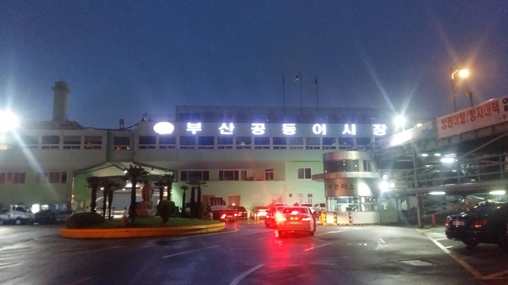 아재의 부산여행기 Take1 출발 자전거 여행 그리고 망할 놈의 월드스타 | 인스티즈